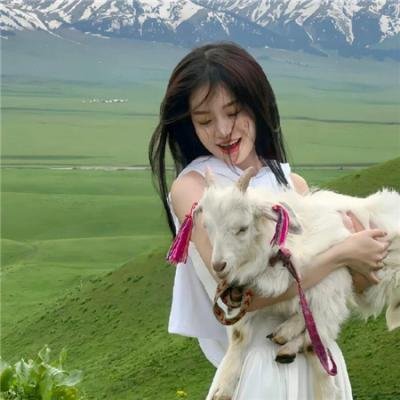 美人镖局